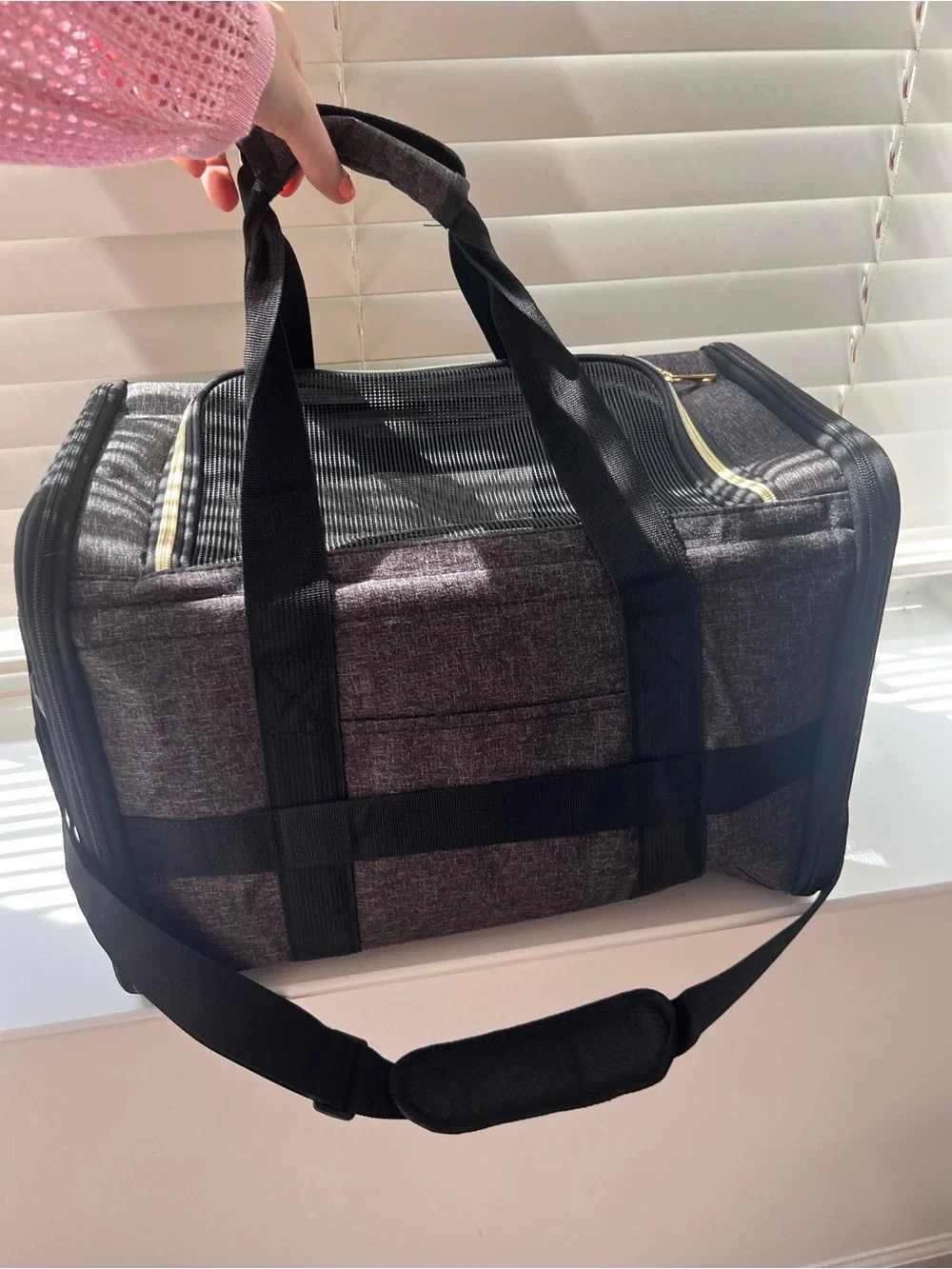 Small Pet Black and Gold Travel Carry Bag with Mesh Front